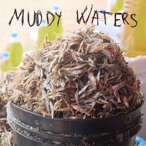 Muddy